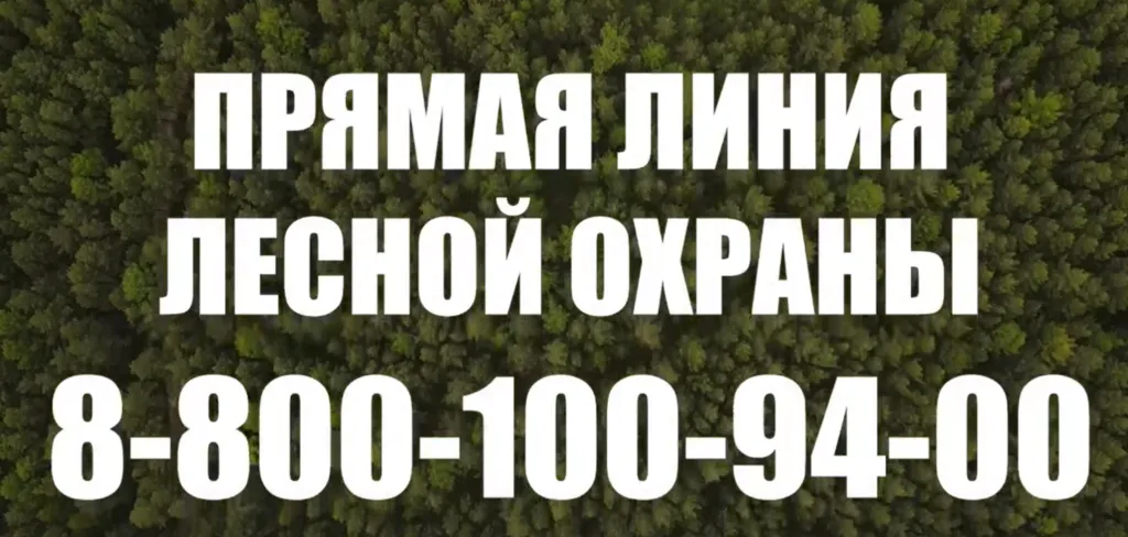 Снимок экрана 2026-03-17 111457